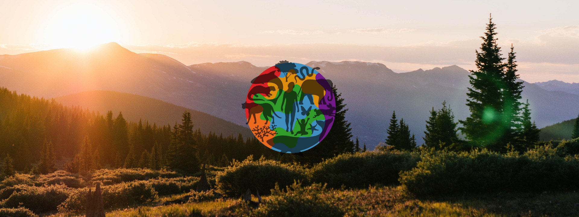 30th-years-website-banner