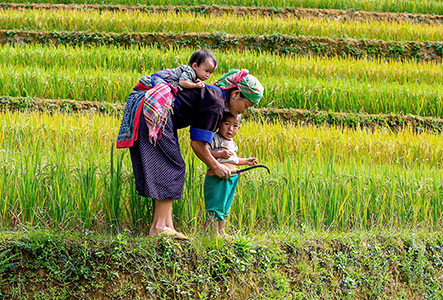 Mom kids in field banner