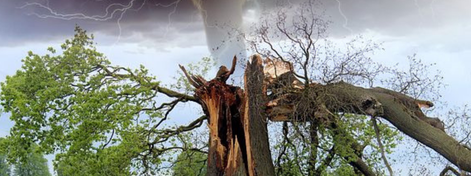 Scientists Warn banner