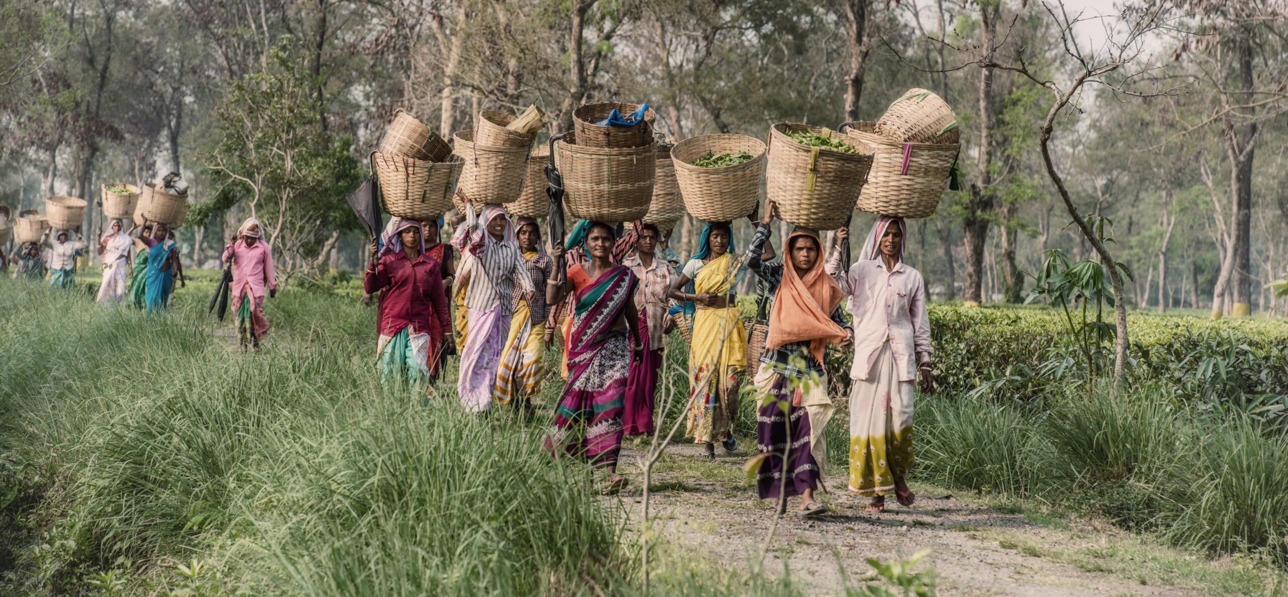 Women carrying baskets banner