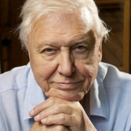 David Attenborough David Attenborough