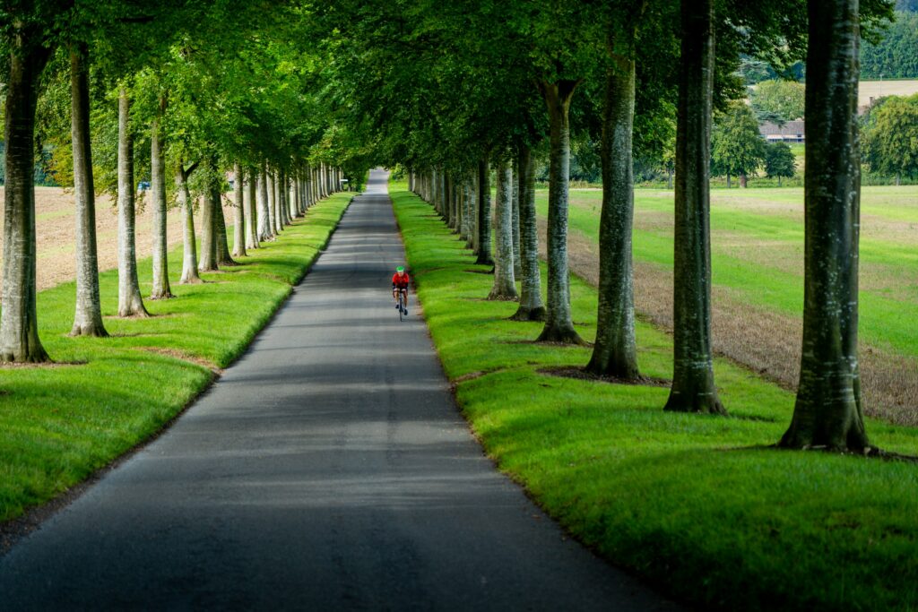 Cycling under trees
