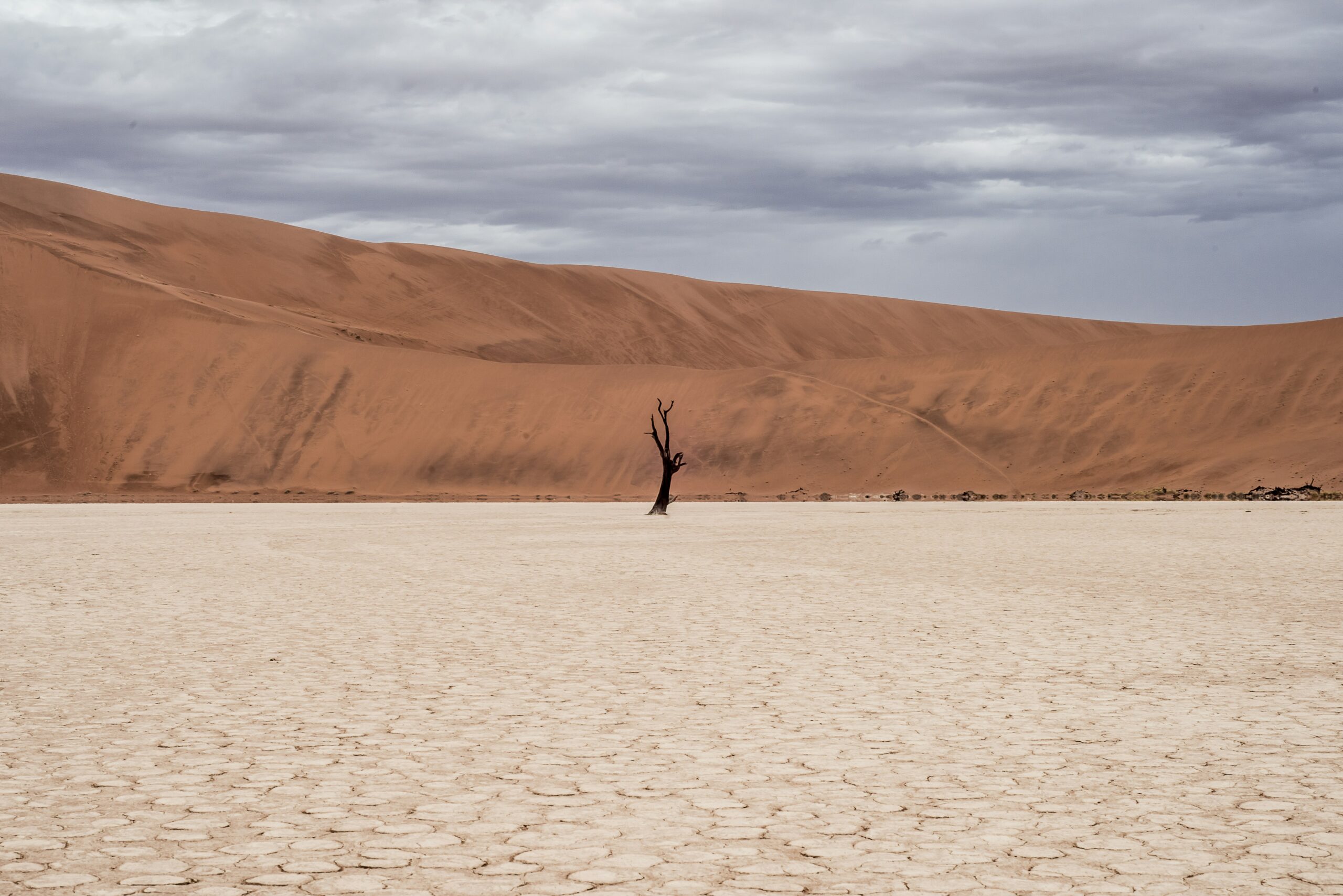 Drought and desertification