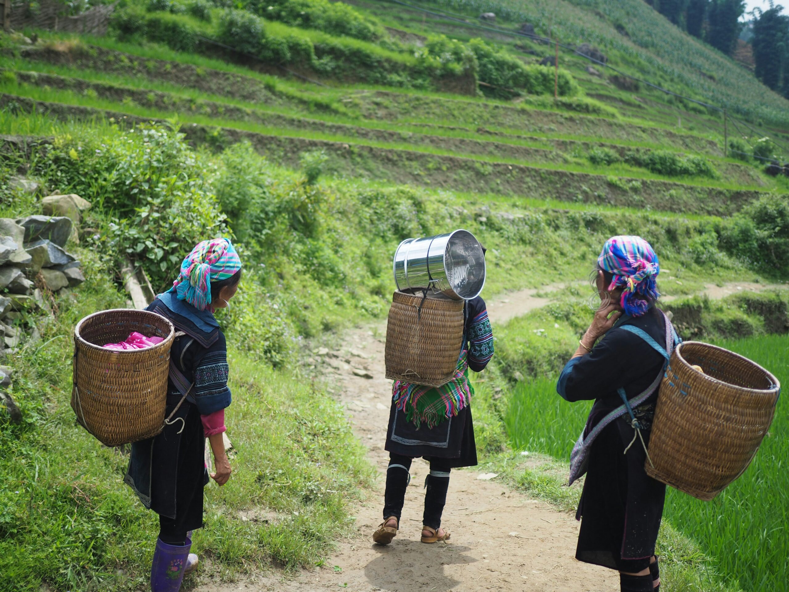 Women carrying harvest